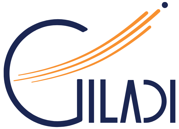 Giladi Giladi Consulting | Growth, Marketing & Strategy